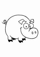 Schwein Schweine Ausmalbild Schweinekopf Dickes Kleines sketch template