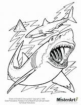Shark Coloring Thresher Color Getdrawings sketch template