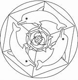 Mandalas Mandala Delfines Pintar Animaux Coloriages Coloriage Nuevo Màu Sắc Lưu ã Từ sketch template
