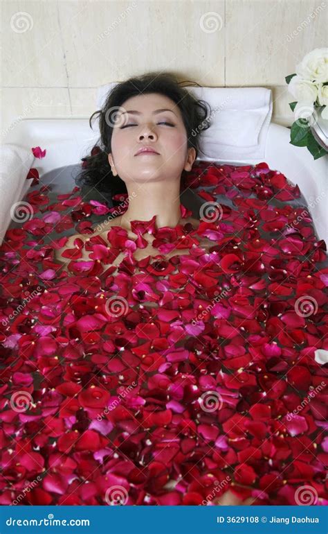 rose petal spa stock photo image  bathing rose fresh