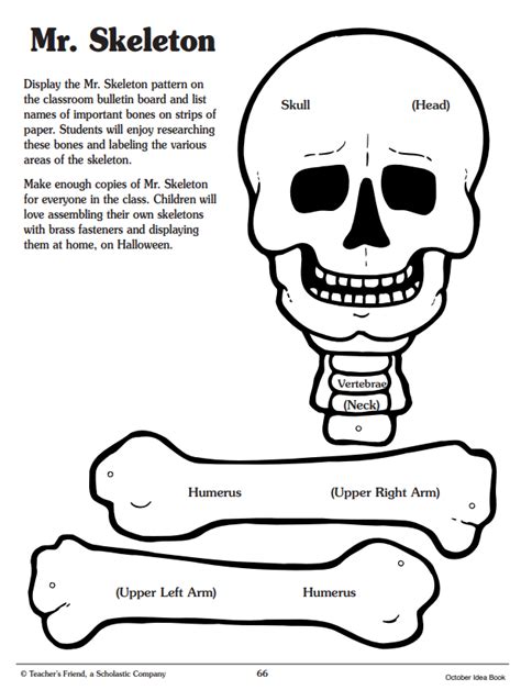 printable skeleton crafts printables  mom