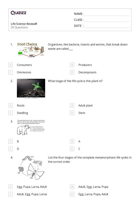 life science worksheets  quizizz  printable