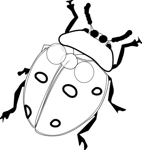 printable ladybug coloring pages  kids