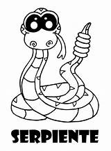 Serpiente Cascabel Animales Animalitos Dibujo sketch template