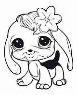 Coloring Littlest Pages Pet Shop Zoe Sheets Getcolorings Getdrawings sketch template