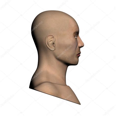 human head side view stock photo  decaded
