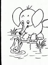 Coloring Animals Pages Wild Animal Printable Kids Elephant Colouring Realistic Baby Color Drawing Print Popular Getcolorings Getdrawings Draw Coloringhome Fun sketch template