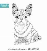 Bulldog Zentangle sketch template