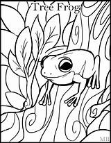 Coloring Frog Pages Adults Frogs Tree Getcolorings Printable Color Drawings sketch template