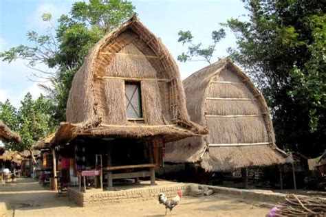 bermalam  rumah tradisional suku sasak tourism newscoid indonesia travel lifestyle