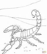 Scorpion Skorpion Ausmalbild Scorpions Kolorowanka Einfacher Kolorowanki Riesenkalmar Supercoloring Druku Ogle Kalmar Chang Jodi Colorier Mamydzieci Malvorlage sketch template