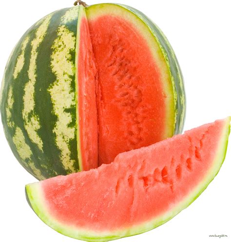 watermelon png transparent images   watermelon png transparent images png