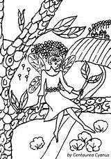 Coloring Landscape Pages Centaurea Cyanus Fairy Choose Board sketch template