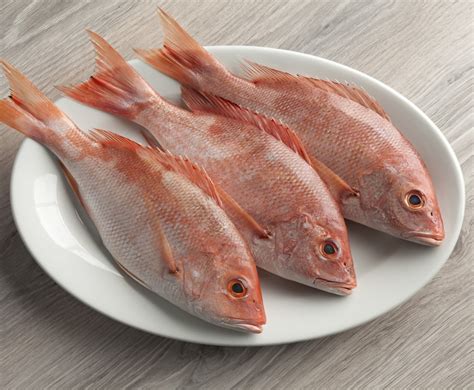 buy red snapper kg     price  uk delivery