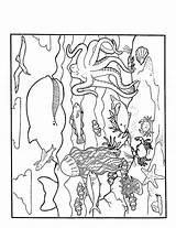 Zeedieren Kleurplaat Kleurplaten Dieren Animaux Marins Mewarnai Hewan Binatang Seetiere Ausdrucken Laut Animasi Malvorlagen Animierte Bergerak Vissen Marini Malvorlage Animaatjes sketch template