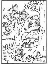 Herfst Kleurplaten Eekhoorn Kleurplaat Tekeningen Volwassenen Eekhoorntjes Tekenen sketch template