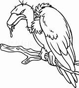 Vulture Dragoart Kratts Scavenger Clipartmag sketch template