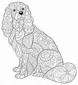 Chien Adulte Teckel Saucisse Antistress Zentangle 30seconds Indiaparenting Colorings Printables Clifford Getcolorings sketch template