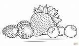 Coloring Blueberries Pages Strawberries Blueberry Raspberries Strawberry Printable Drawing Popular sketch template