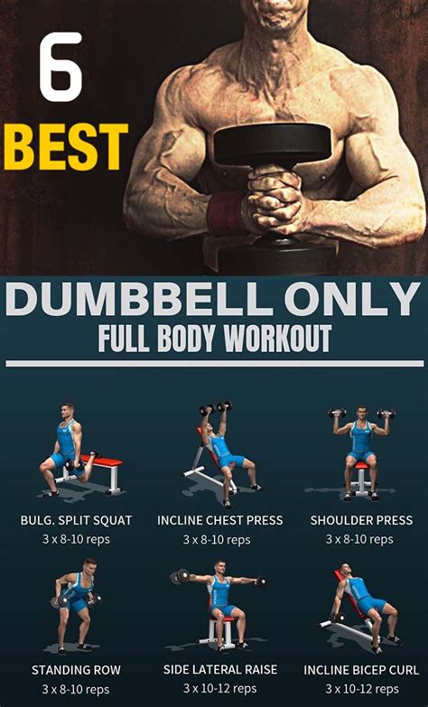 view     full body workout  dumbbells images  full