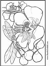 Coloring Dragonfly Pages Pheemcfaddell Craft Project Fairy Colouring Printable Library P6 Books Tableau Choisir Un sketch template