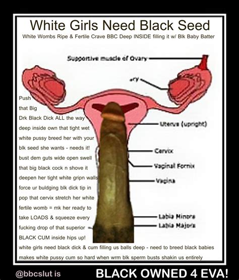 Pregnant By Black Seed