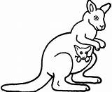 Kangaroo Drawing Cartoon Coloring Printable Pages Joey Getdrawings Animals sketch template