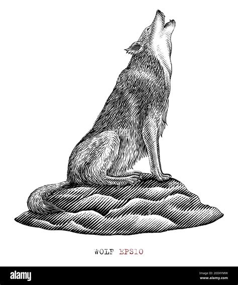 heulender wolf kopf zeichnen  wolf ideen wolf zeichnung wolf tattoo