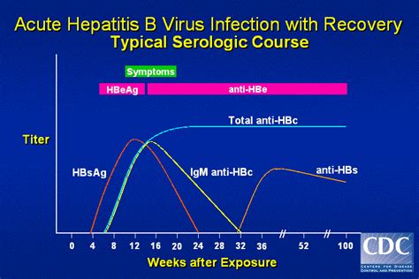 Hepatitis B C D And G
