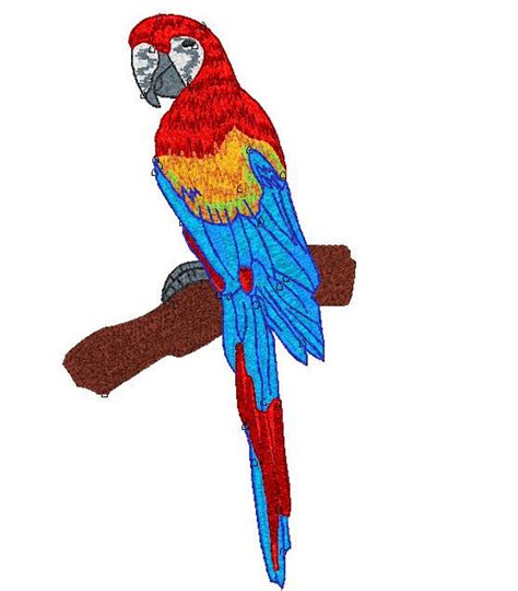 parrot parrot   stick sitting parrot embroidery etsy