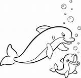 Dolphin Baby Coloring Mommy Dolphins Scribblefun sketch template