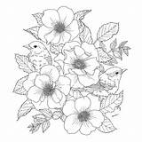 Flowers Birds Flower Drawing Coloring Pages Bird Adults Stress Paradise Books Book Adult Drawings Sketches Anti Aliexpress Chinese Printable Colouring sketch template