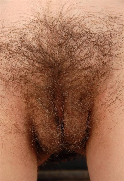 shag in gallery pubic hair style picture 43 uploaded by carlcarlson12 on