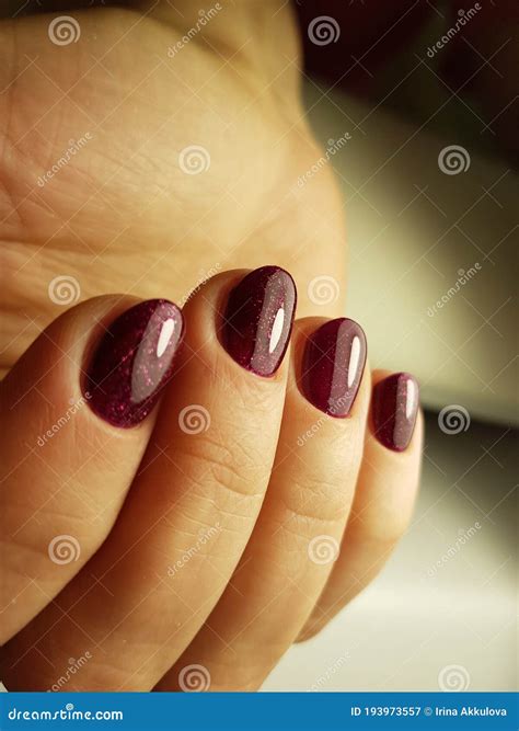 dark red cat nails  shimmer gel cover stock image image  cover