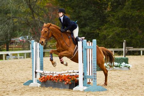 equestrian team finishes fall regular season   region gears