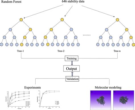 predicting physical stability  solid dispersions  machine learning