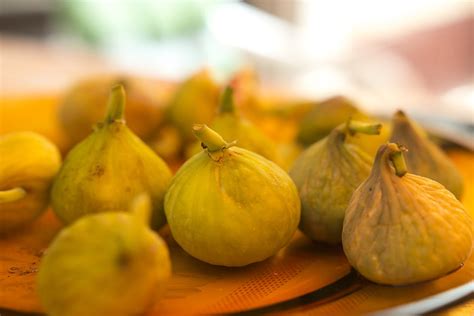 28 Fun And Interesting Facts About Figs Tons Of Facts