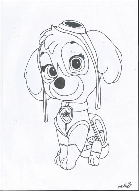 coloring pages paw patrol paw patrol sky coloring page paw patrol