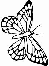 Outline Monarch Colouring Clipartmag Butterflys sketch template