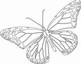 Monarch Motyl sketch template