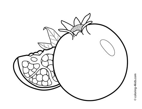 pomegranate fruits coloring pages  kids printable  fruit