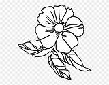 Cherokee Flower Pinclipart sketch template