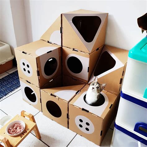 designer created modular cardboard boxes  cats   furry
