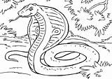 Cobra Coloring Snake Pages sketch template