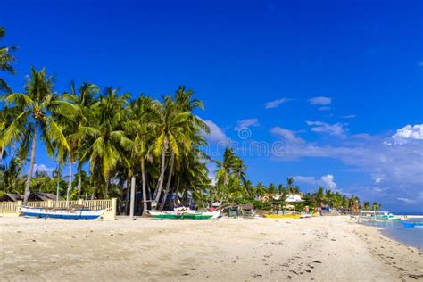 beautiful beach  santa fe stock image image  coconut urban