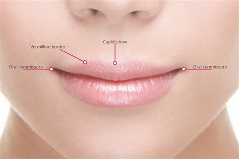downturned mouth treatment options  melior clinics