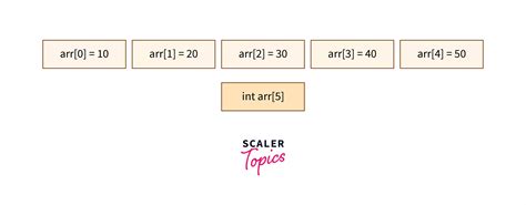 initialize  array   scaler topics