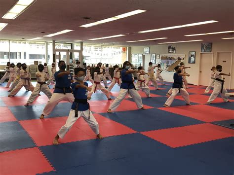 master taekwondo forms martial arts blog