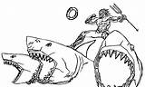 Aquaman Sharks Haie Kapitel Saison Requins Chapitre Morningkids Squali Malvorlagen sketch template