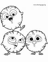Birds Coloring Pages Chicks Bird Colouring Movie Big Characters Fun Popular Library Clipart sketch template